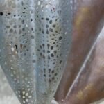 Metal multi Leaf with led wall Decorative - Image 5