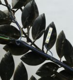 Metal Antique Gold & Copper Led Christmas Tree Office & Living Room - Image 6